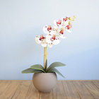 Arranjo De Orquídea De Silicone Tigre No Vaso Fendi | Formosi